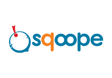 Read more about the article Sqoope
